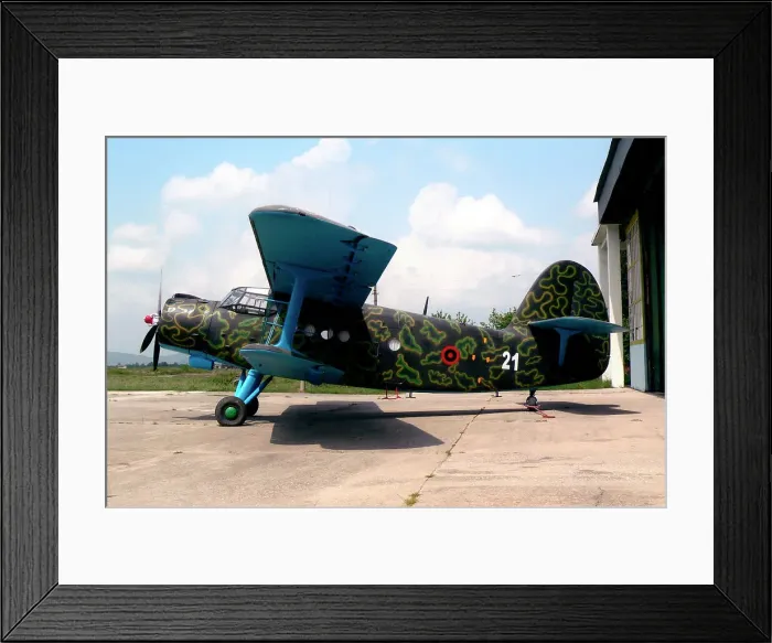 Framed Print : AVIC Y-5 21 Framed Print : AVIC Y-5 21