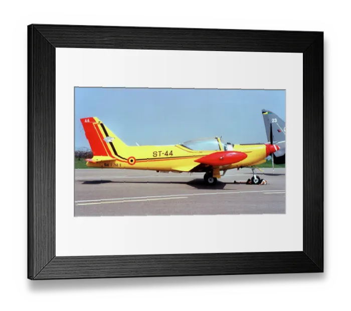 Framed Print : Siai-Marchetti SF. 260D ST-44 Framed Print : Siai-Marchetti SF. 260D ST-44