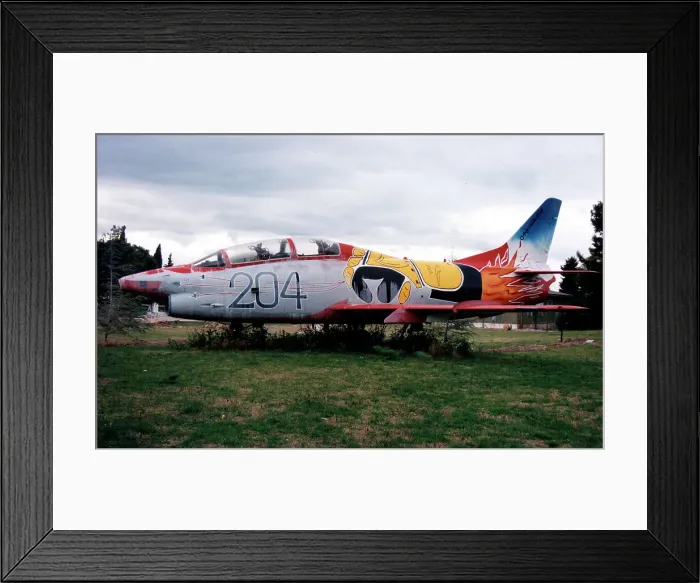 Framed Print : Fiat G. 91 T - 1 MM6363 - 204 Framed Print : Fiat G. 91 T - 1 MM6363 - 204