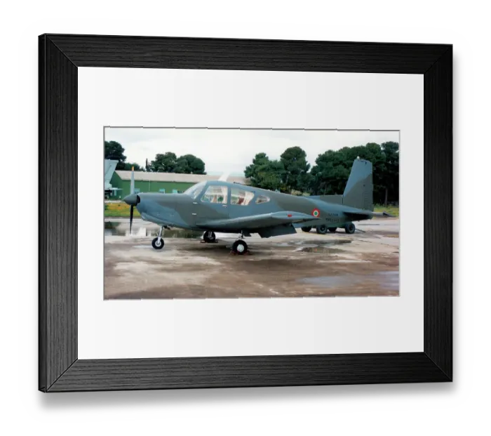 Framed Print : SIAI-Marchetti S, 208M MM61942 Framed Print : SIAI-Marchetti S, 208M MM61942