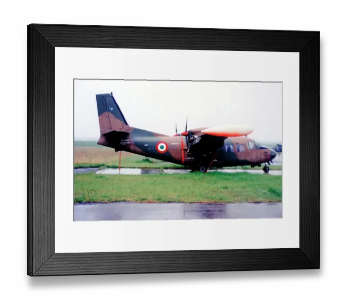 Framed Print : Piaggio P-166M MM61932 - 36-66 Framed Print : Piaggio P-166M MM61932 - 36-66