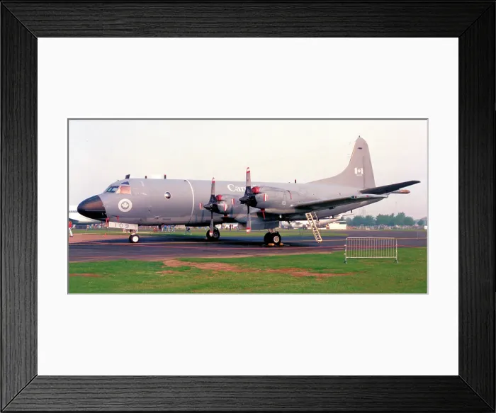 Framed Print : Lockheed CP-140 Aurora 140109 Framed Print : Lockheed CP-140 Aurora 140109