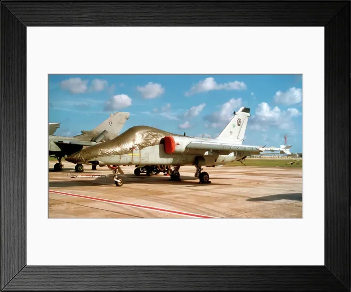 Framed Print : AMX International AMX Framed Print : AMX International AMX