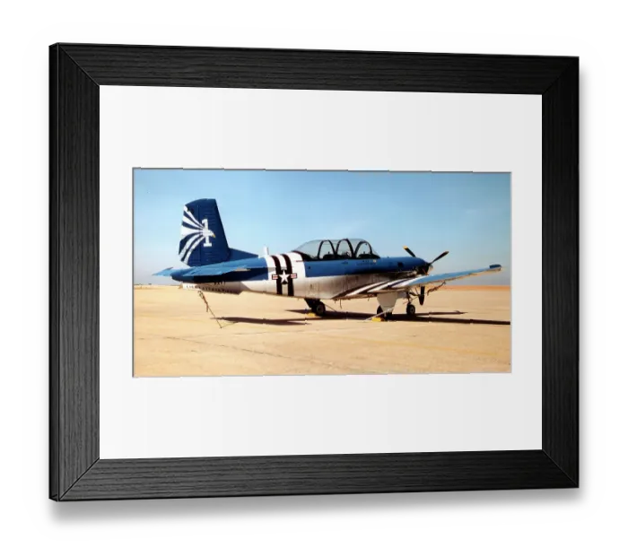 Framed Print : Beech T-34C Turbo-Mentor 160494 Framed Print : Beech T-34C Turbo-Mentor 160494