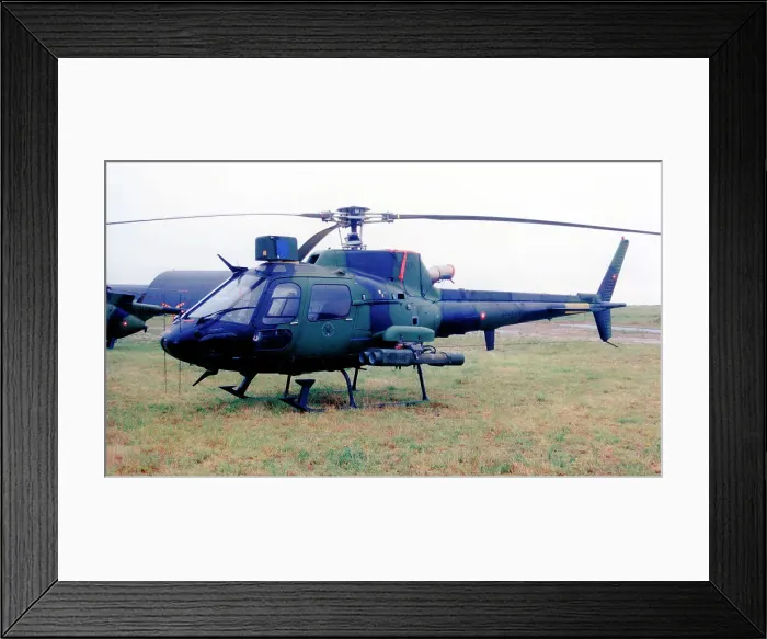 Framed Print : Aerospatiale AS550C2 Fennec P-339 Framed Print : Aerospatiale AS550C2 Fennec P-339