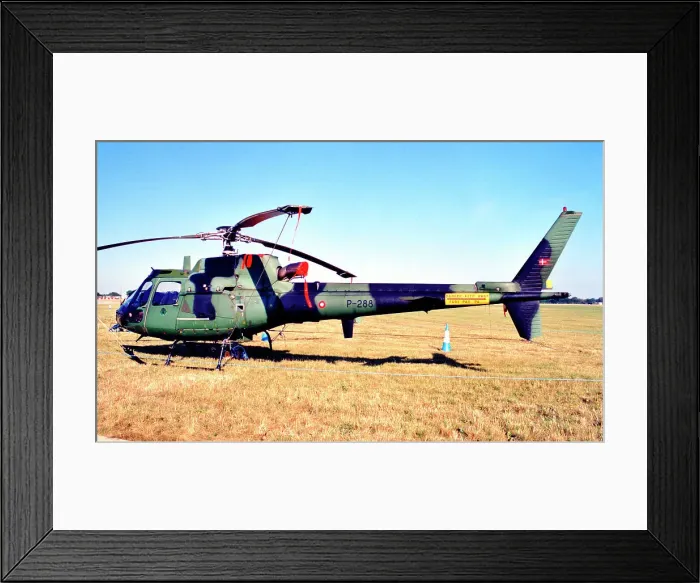 Framed Print : Aerospatiale AS550C2 Fennec P-288 Framed Print : Aerospatiale AS550C2 Fennec P-288