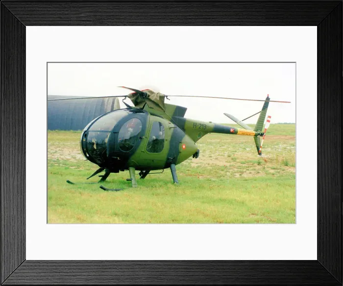 Framed Print : Hughes OH-6A Cayuse H-213