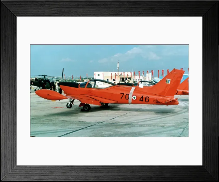 Framed Print : SIAI-Marchetti SF. 260AM MM55015 - 70-46 Framed Print : SIAI-Marchetti SF. 260AM MM55015 - 70-46