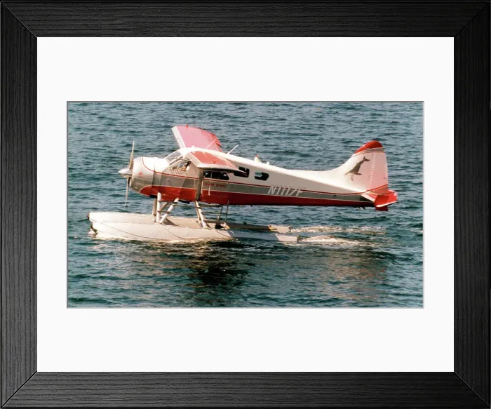 Framed Print : de Havilland Canada DHC-2 Beaver N1117F Framed Print : de Havilland Canada DHC-2 Beaver N1117F