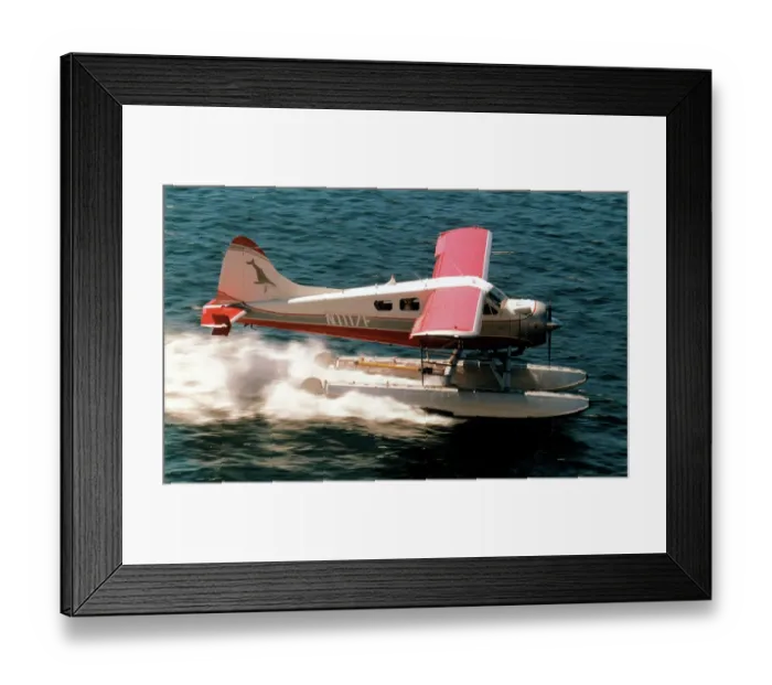 Framed Print : de Havilland Canada DHC-2 Beaver N1117F Framed Print : de Havilland Canada DHC-2 Beaver N1117F