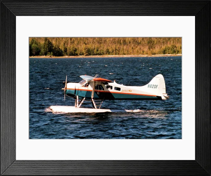 Framed Print : de Havilland Canada DHC-2 Beaver N82SF Framed Print : de Havilland Canada DHC-2 Beaver N82SF
