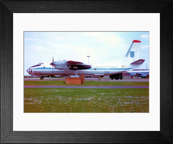 Framed Print : Antonov An-30B 81 Yellow Framed Print : Antonov An-30B 81 Yellow