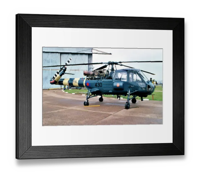 Framed Print : Westland Wasp HAS. 1 G-RIMM - XT435 Framed Print : Westland Wasp HAS. 1 G-RIMM - XT435