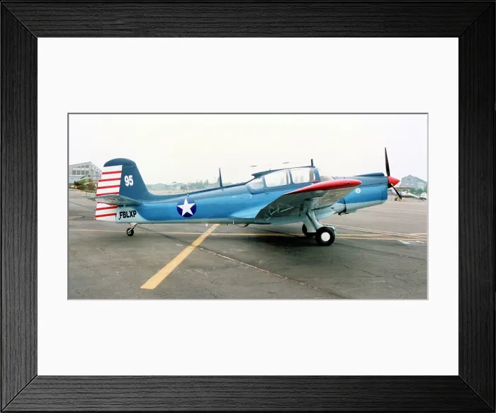 Framed Print : Morane-Saulnier MS. 733 Alcyon F-BLXP - 95 Framed Print : Morane-Saulnier MS. 733 Alcyon F-BLXP - 95