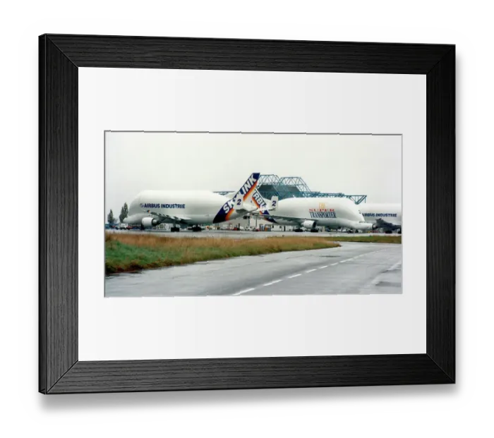 Framed Print : Airbus A300-600ST Belugas Framed Print : Airbus A300-600ST Belugas