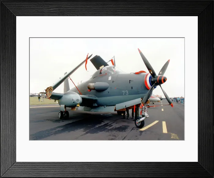 Framed Print : Aeronavale - Breguet Br. 1050 Alize 73 (msn 73) of 6 Flotille, based at Nimes Garons, at Boscombe Down for the Battle of Britain 50th Anniversary Air Show on 9 June 1990. (Aeronavale - Aeronautique Navale - French Naval Aviation) Date: 1990 Framed Print : Aeronavale - Breguet Br. 1050 Alize 73 (msn 73) of 6 Flotille, based at Nimes Garons, at Boscombe Down for the Battle of Britain 50th Anniversary Air Show on 9 June 1990. (Aeronavale - Aeronautique Navale - French Naval Aviation) Date: 1990