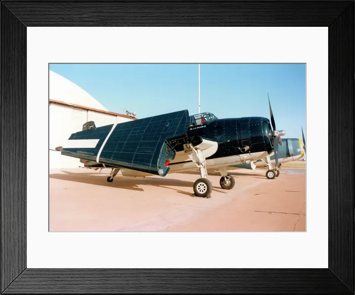 Framed Print : General Motors TBM-3E Avenger N4170A Framed Print : General Motors TBM-3E Avenger N4170A