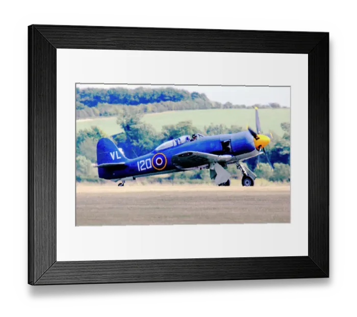 Framed Print : Hawker Sea Fury T. 20 G-RNHF - VX281 Framed Print : Hawker Sea Fury T. 20 G-RNHF - VX281