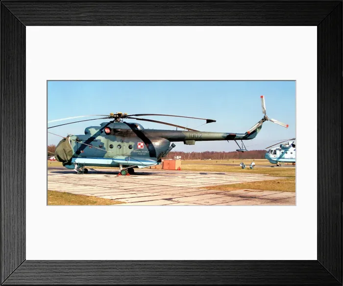 Framed Print : Mil Mi-14PL 1002 Framed Print : Mil Mi-14PL 1002