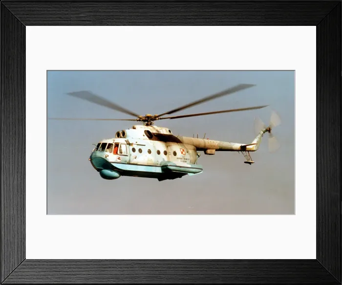 Framed Print : Mil Mi-14PL 1003 Framed Print : Mil Mi-14PL 1003