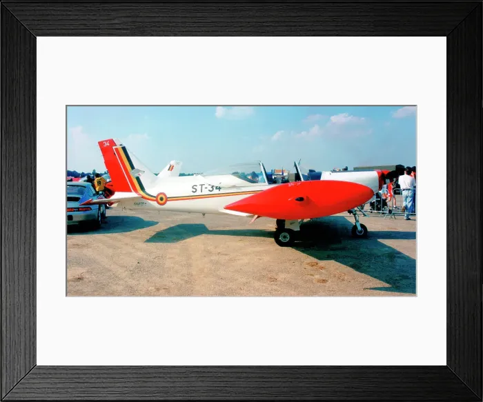 Framed Print : Siai-Marchetti SF. 260M ST-34 Framed Print : Siai-Marchetti SF. 260M ST-34