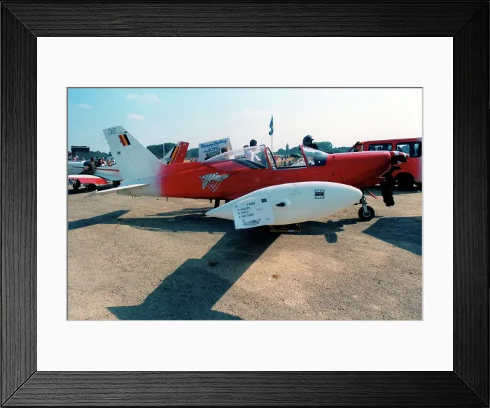 Framed Print : Siai-Marchetti SF. 260M ST-36 Framed Print : Siai-Marchetti SF. 260M ST-36