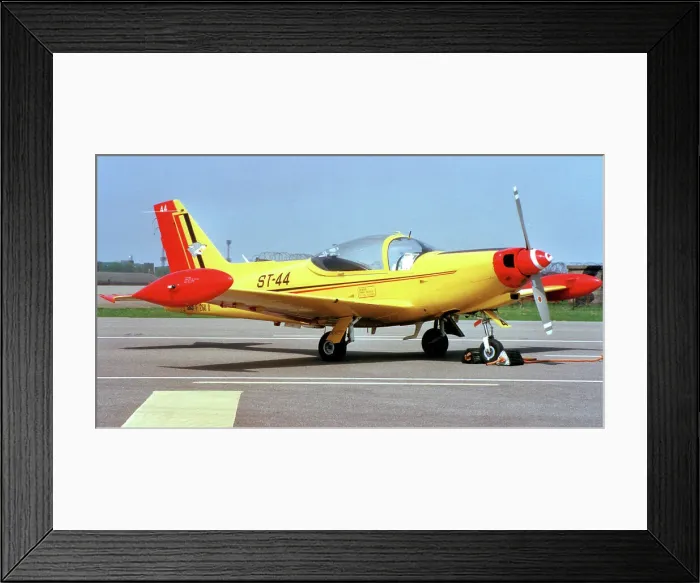Framed Print : Siai-Marchetti SF. 260M ST-44 Framed Print : Siai-Marchetti SF. 260M ST-44