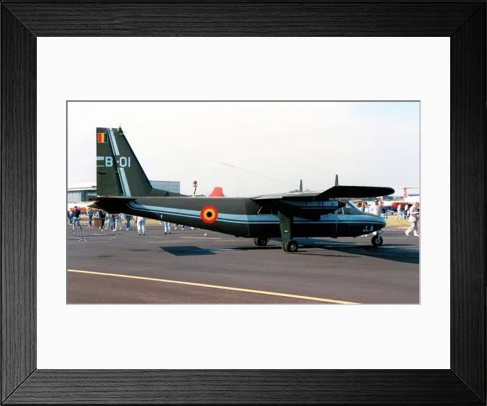 Framed Print : Britten-Norman BN-2B Islander B-01 Framed Print : Britten-Norman BN-2B Islander B-01
