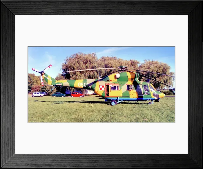 Framed Print : PZL W-3 Sokol 0501 Framed Print : PZL W-3 Sokol 0501