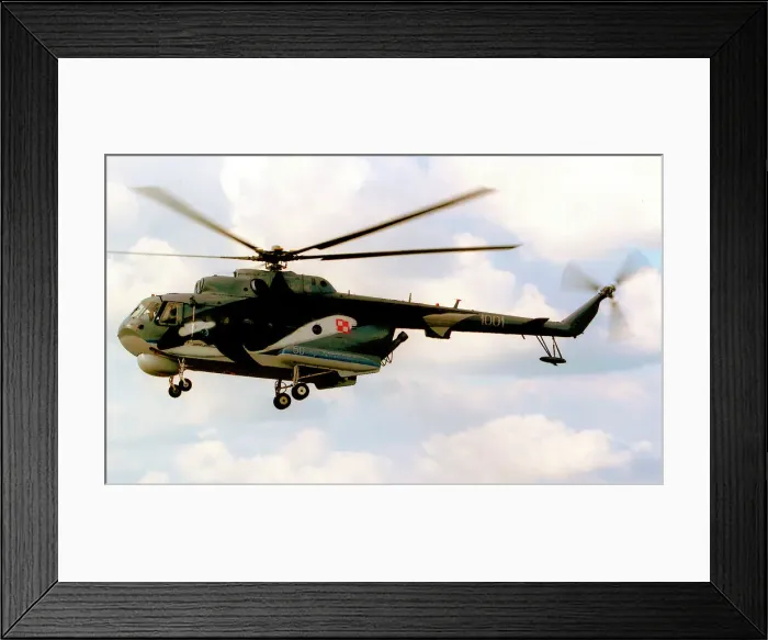 Framed Print : Mil Mi-14PL 1001 Framed Print : Mil Mi-14PL 1001