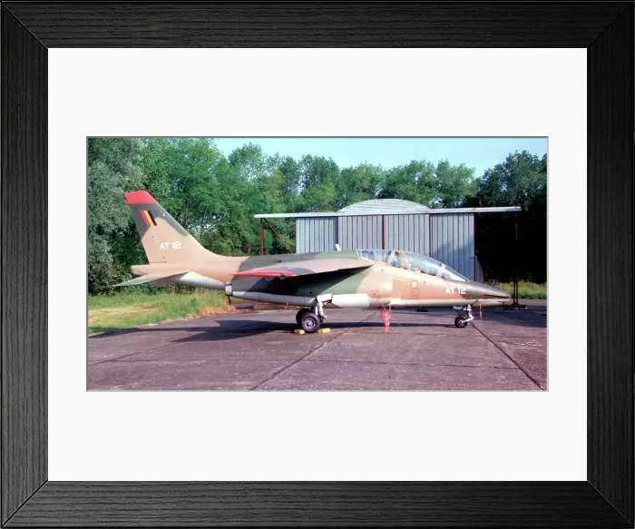 Framed Print : Dassault / Dornier Alpha Jet 1B AT12 Framed Print : Dassault / Dornier Alpha Jet 1B AT12