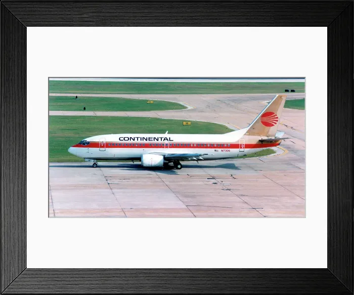 Framed Print : Boeing 737-3T0 N17306
