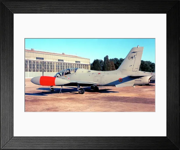 Framed Print : Aermacchi MB. 339A MM54550 - 61-110 Framed Print : Aermacchi MB. 339A MM54550 - 61-110