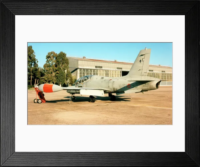 Framed Print : Aermacchi MB. 339A MM54443 - 61-50 Framed Print : Aermacchi MB. 339A MM54443 - 61-50