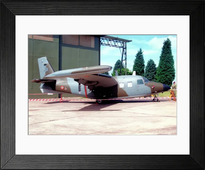Framed Print : Piaggio P-166DL-3 MM25155 - 303-22 Framed Print : Piaggio P-166DL-3 MM25155 - 303-22