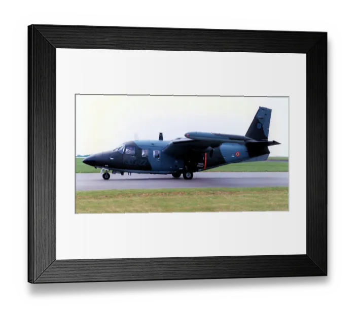 Framed Print : Piaggio P-166DL-3 MM25155 - 303-22 Framed Print : Piaggio P-166DL-3 MM25155 - 303-22