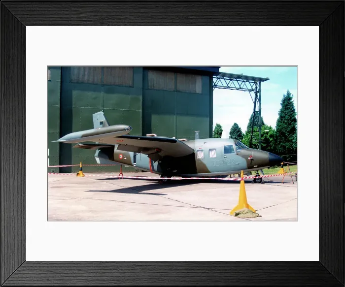 Framed Print : Piaggio P-166DL-3 MM25155 - 303-22 Framed Print : Piaggio P-166DL-3 MM25155 - 303-22