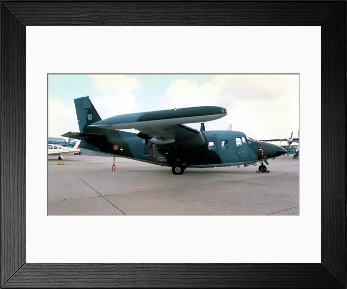 Framed Print : Piaggio P-166DL-3 MM25158 - 303-25 Framed Print : Piaggio P-166DL-3 MM25158 - 303-25