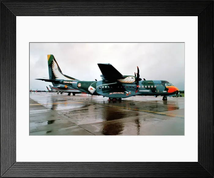 Framed Print : CASA SC-105 2811 Framed Print : CASA SC-105 2811