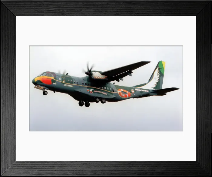 Framed Print : CASA SC-105 2811 Framed Print : CASA SC-105 2811