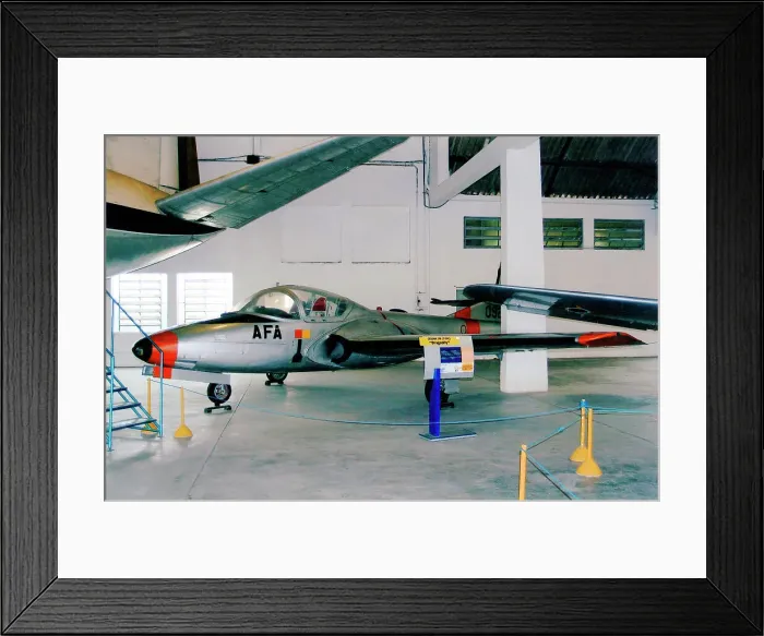 Framed Print : Cessna 318 Tweety Bird 0922 Framed Print : Cessna 318 Tweety Bird 0922