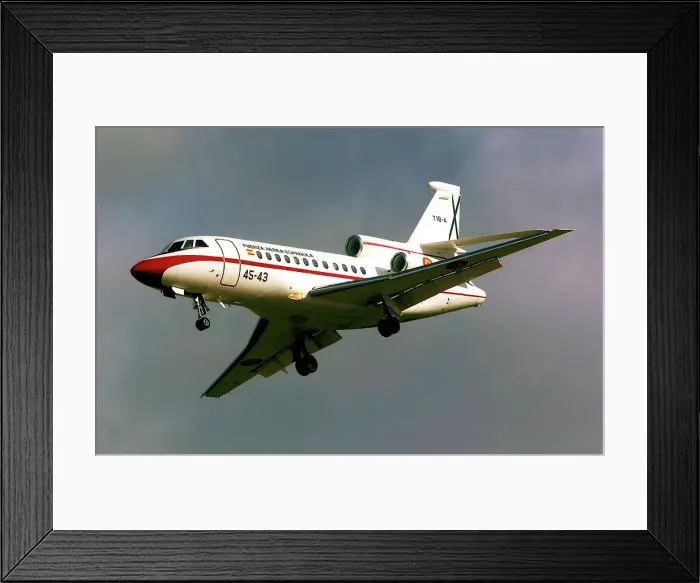 Framed Print : Dassault Falcon 900B T. 18-4 - 45-43 Framed Print : Dassault Falcon 900B T. 18-4 - 45-43