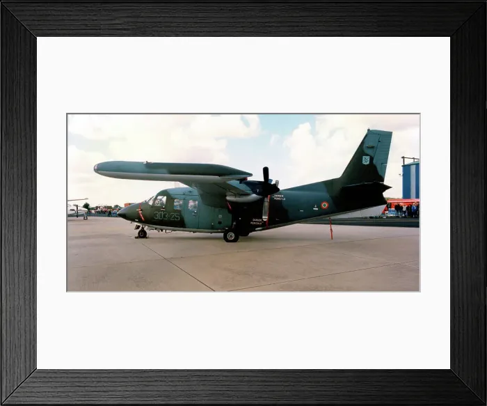 Framed Print : Piaggio P-166DL-3 MM25158 - 303-25 Framed Print : Piaggio P-166DL-3 MM25158 - 303-25