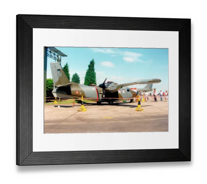 Framed Print : Piaggio P-166DL-3 MM25155 - 303-22 Framed Print : Piaggio P-166DL-3 MM25155 - 303-22