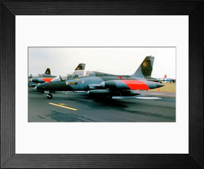 Framed Print : Aermacchi MB-339A MM54459 - 61-13 Framed Print : Aermacchi MB-339A MM54459 - 61-13