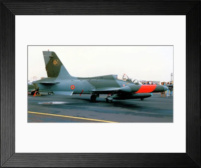 Framed Print : Aermacchi MB-339A MM54459 - 61-13 Framed Print : Aermacchi MB-339A MM54459 - 61-13
