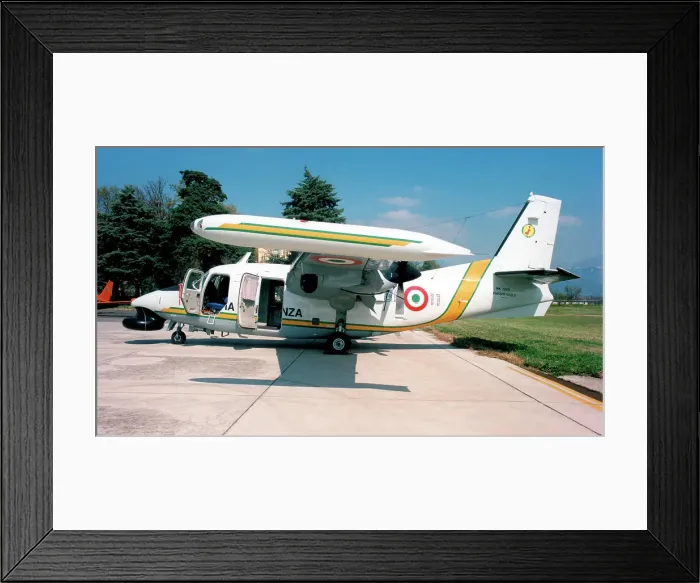 Framed Print : Piaggio P-166DL-3 MM25181 - GF-11 Framed Print : Piaggio P-166DL-3 MM25181 - GF-11