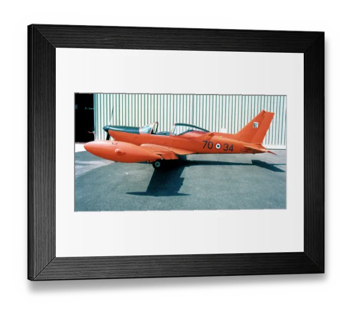 Framed Print : SIAI-Marchetti SF. 260AM Framed Print : SIAI-Marchetti SF. 260AM