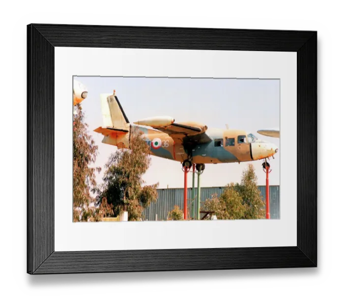 Framed Print : Piaggio P-166M MM61916 - 303-36 Framed Print : Piaggio P-166M MM61916 - 303-36