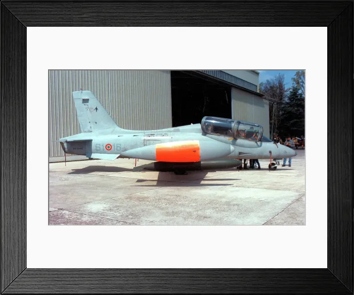 Framed Print : Aermacchi MB-339A MM54462 - 61-16 Framed Print : Aermacchi MB-339A MM54462 - 61-16